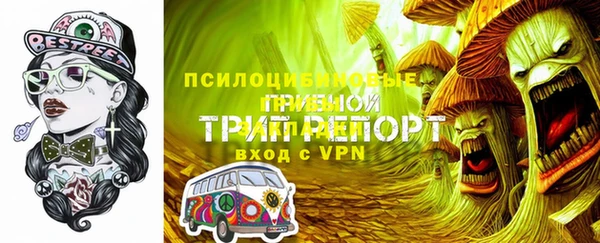 молекула духа Кукмор