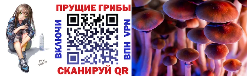 Купить  Комсомольск  Псилоцибиновые грибы GOLDEN TEACHER 